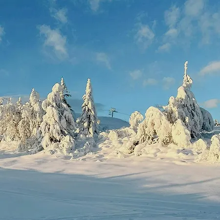 Cosy By Golsfjellet * Gol