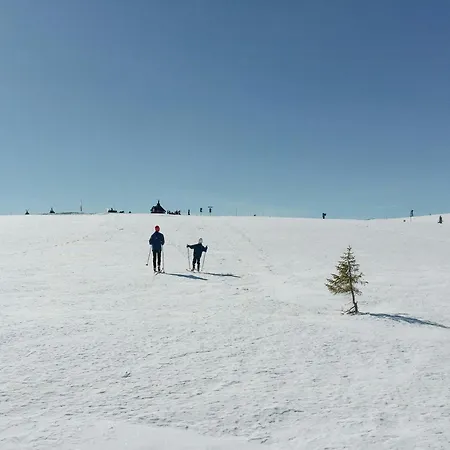 Nyaraló Cosy By Golsfjellet Gol