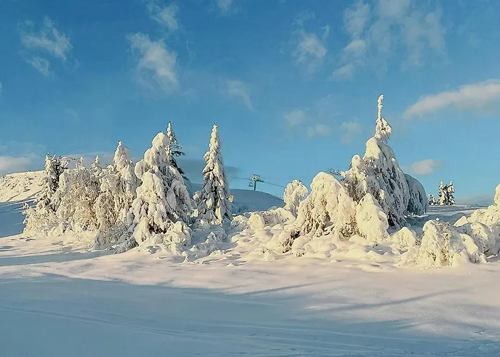 Cosy By Golsfjellet * Gol
