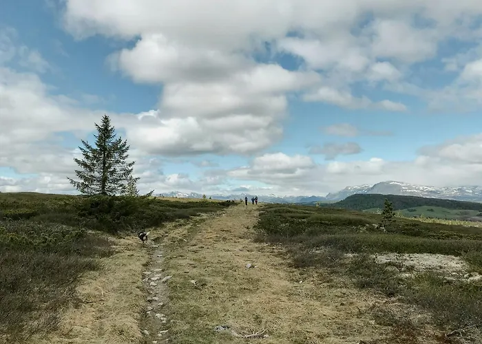 Nyaraló Cosy By Golsfjellet Gol