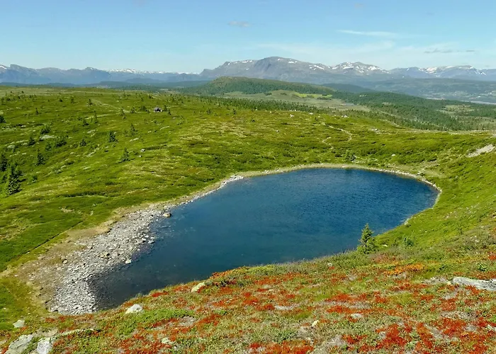 Cosy By Golsfjellet *